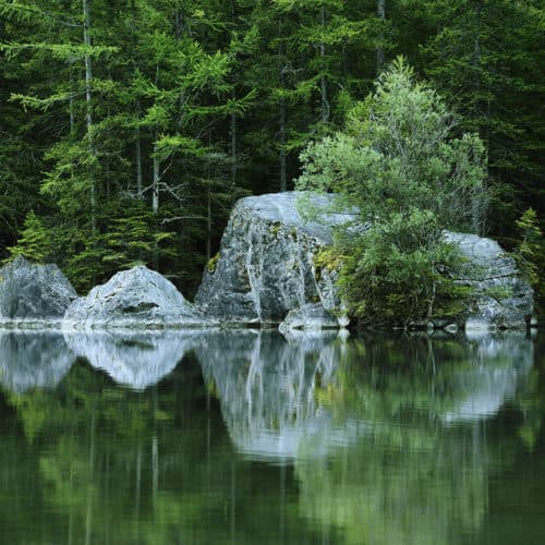 Rochers gris se reflétant dans l'eau d'un lac avec une forêt verte