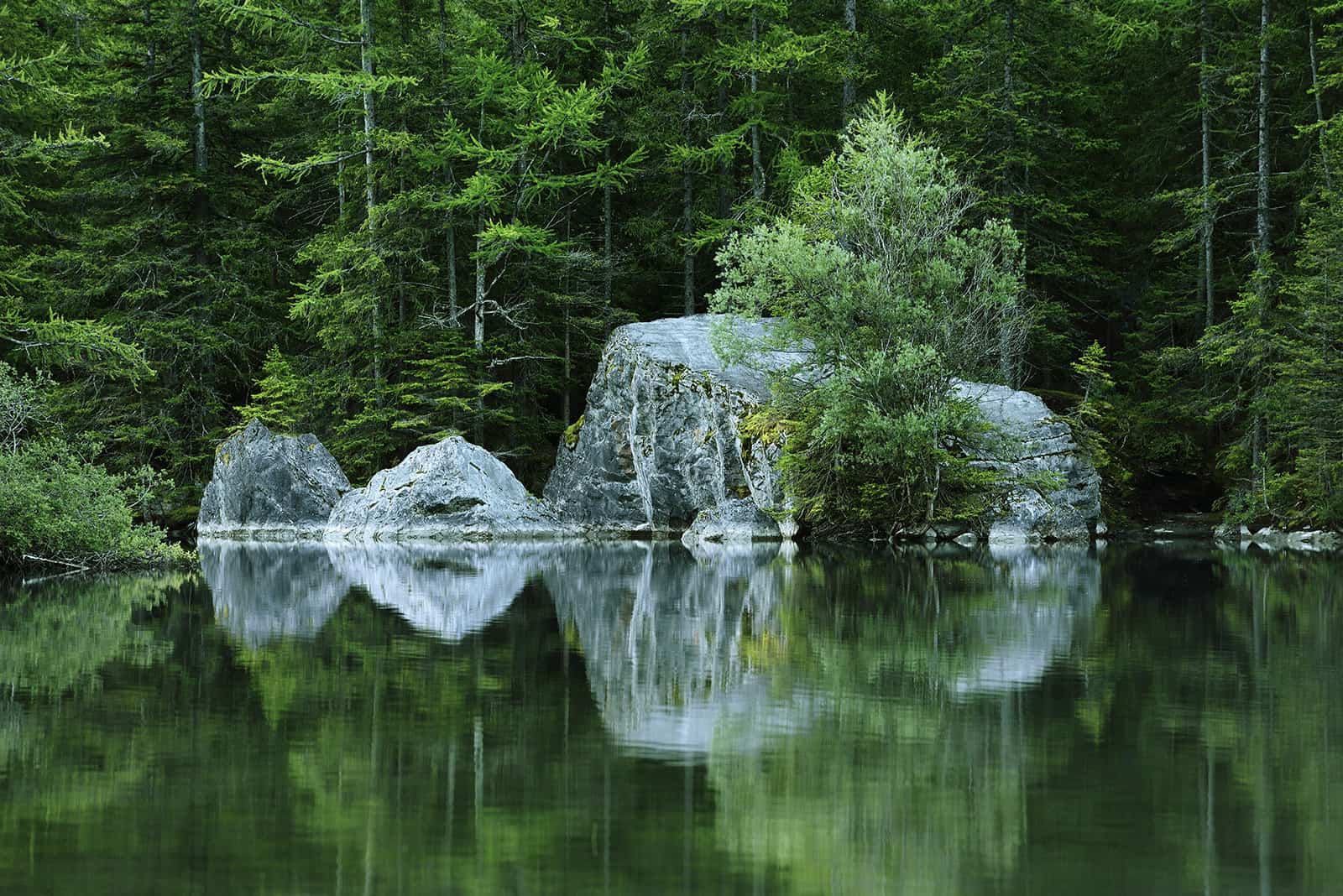 Rochers gris se reflétant dans l'eau d'un lac avec une forêt verte