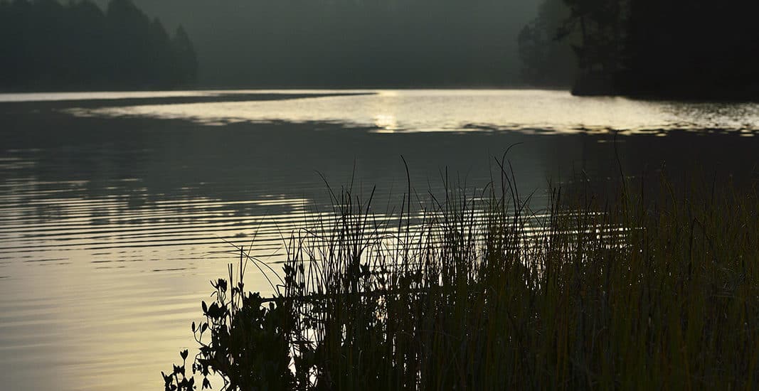 Photographie d'art zen - Méditation Matinale par Yves Luyet