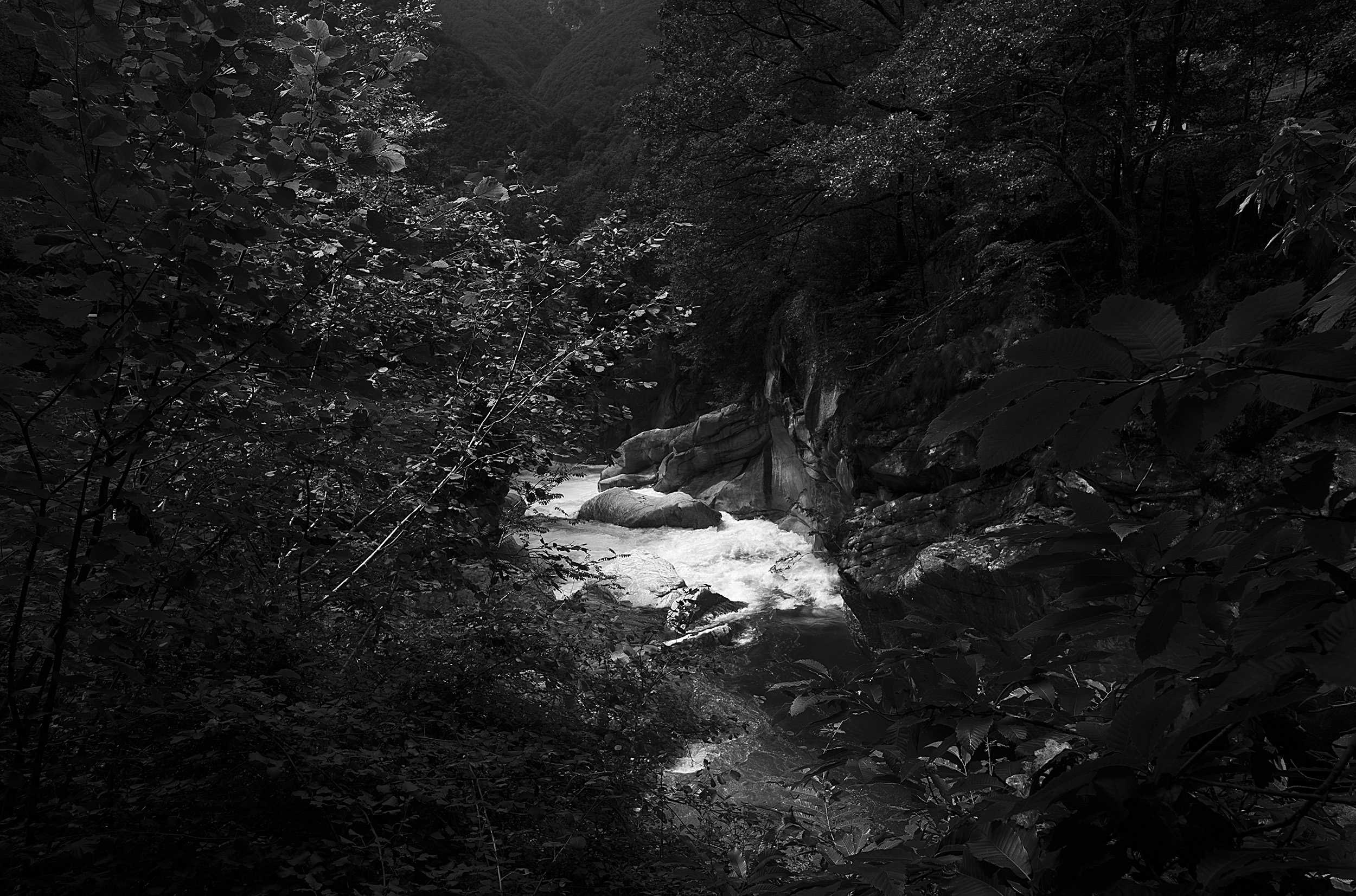 Rivière en pleine forêt après la pluie en noir blanc