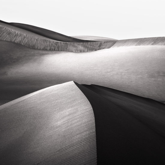 Dunes de sable dans le désert de Liwa - Rub al-Khali en noir et blanc
