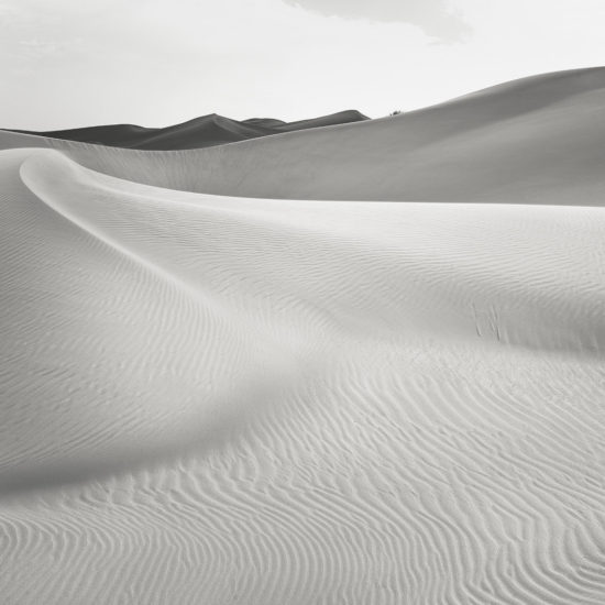 dunes de sable dans le désert Rub al-Khali en noir et blanc