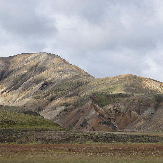 montagne et champ coloré dans le Landmannalaugar en Islande
