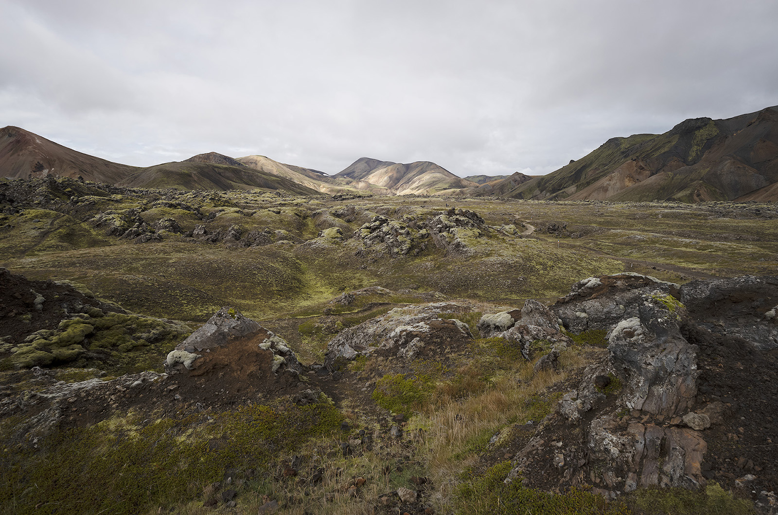Paysage de rochers et de montagnes colorés dans le Landmannalaugar en Islande