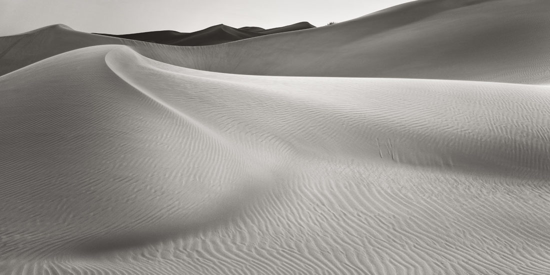 dunes de sable en noir blanc avec formes sensuelles dans le désert rub al-khali dans les émirats arabes unis