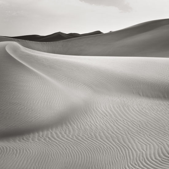 dunes de sable en noir blanc avec formes sensuelles dans le désert rub al-khali dans les émirats arabes unis