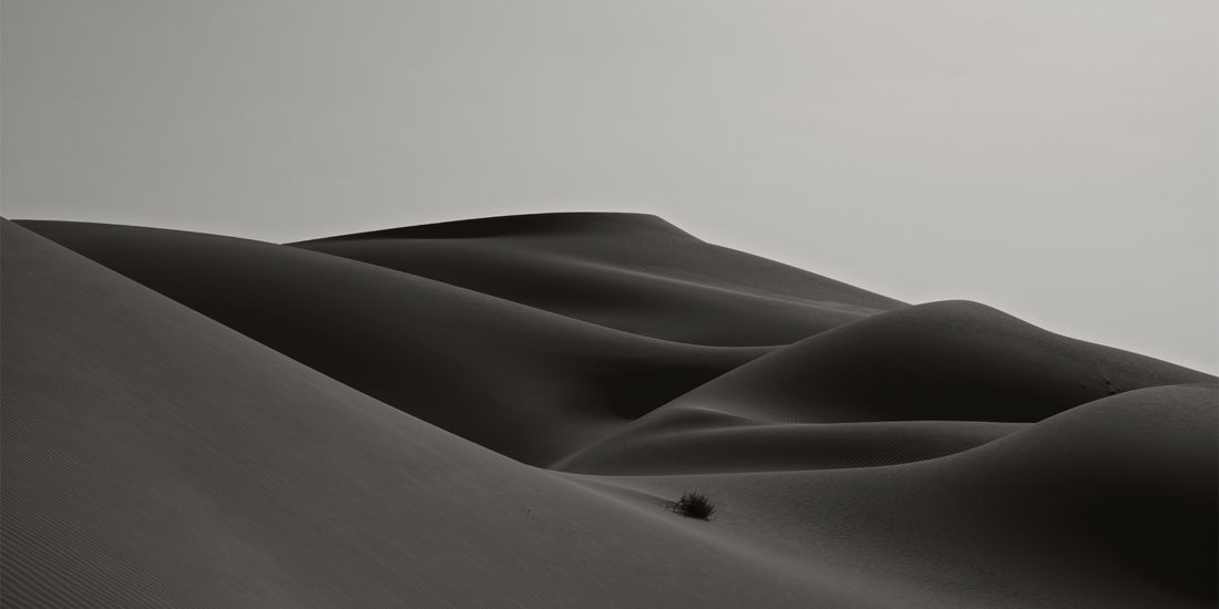 dunes de sable au lever du jour en noir blanc avec formes sensuelles dans le désert rub al-khali