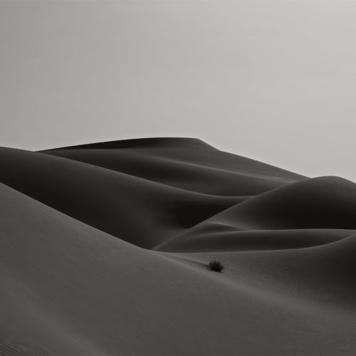 dunes de sable au lever du jour en noir blanc avec formes sensuelles dans le désert rub al-khali