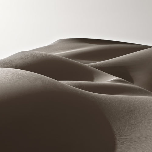 dunes de sable couleur sépia avec formes sensuelles dans le désert rub al-khali